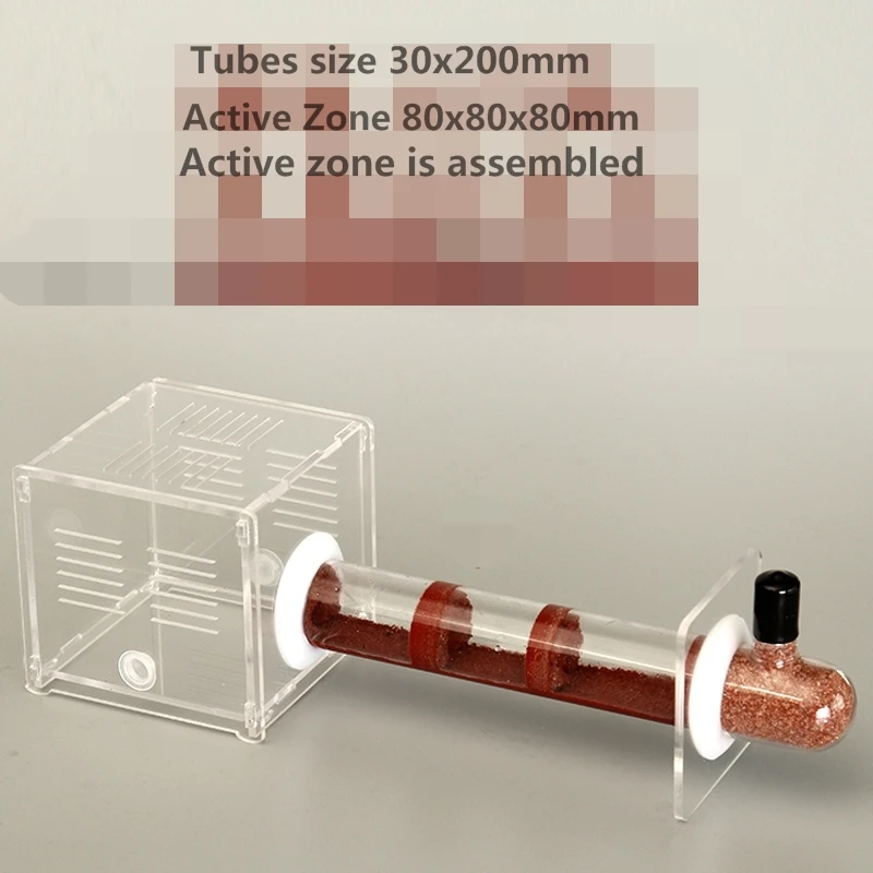 

7 Colors Bamboo Glass Tubes Ant Nest With Active Zone Ants Castle Workshop Ants Villa Kids Science Class Abservation DIY Toys