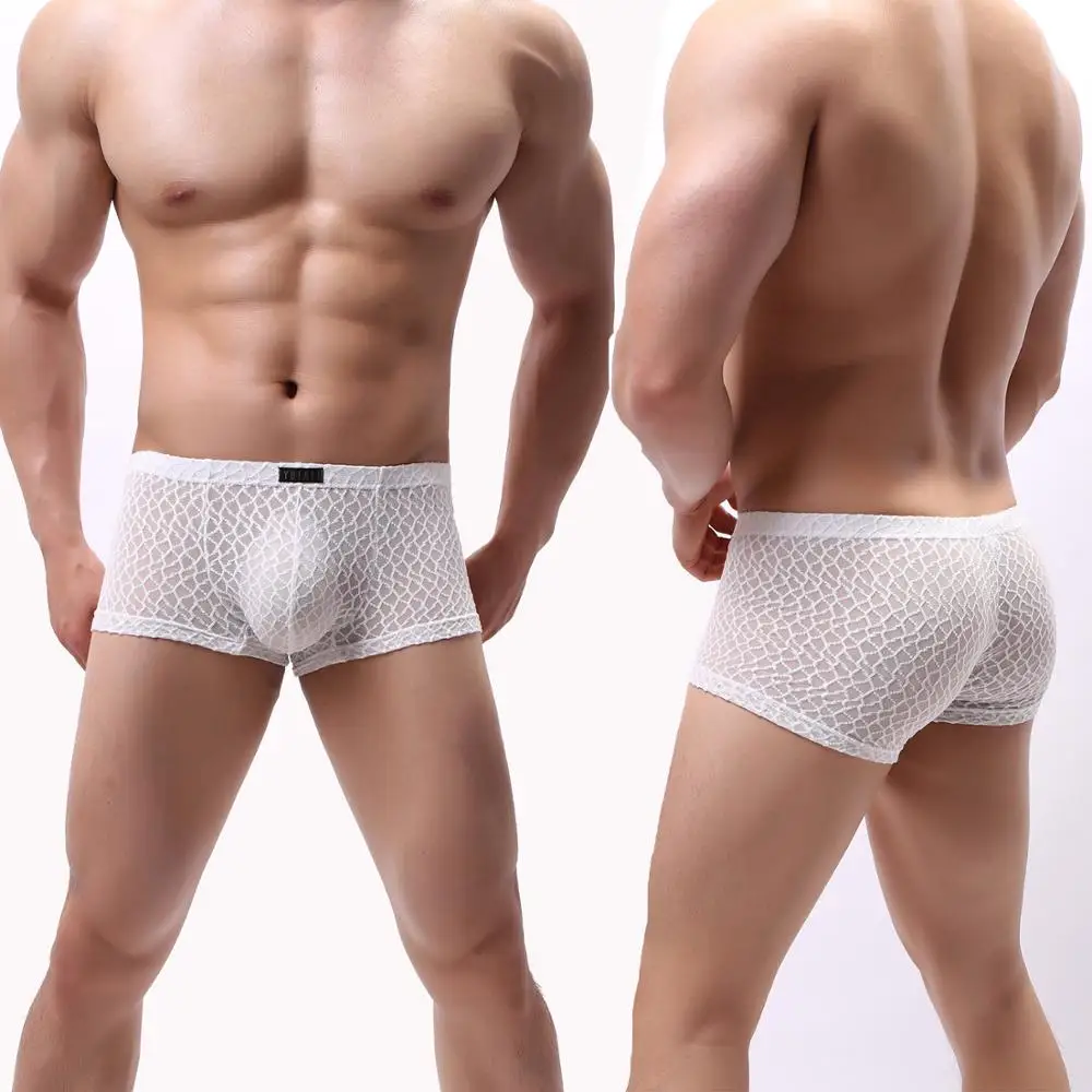 

Free Shipping Foreign Trade European Code Men's underwear calisthenics sexy transparent lace bag underwear B179