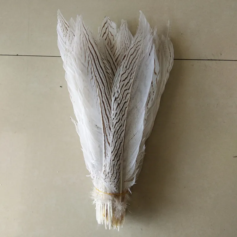 Buy 500pcs / lot white chicken silver feathers 10 12