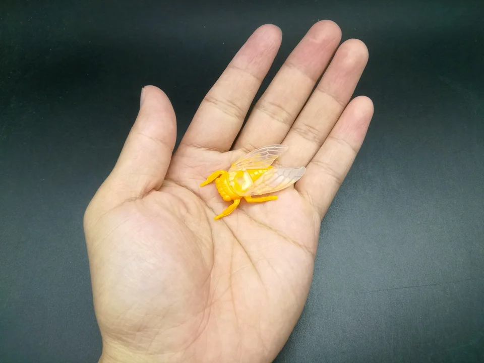I834 (5)