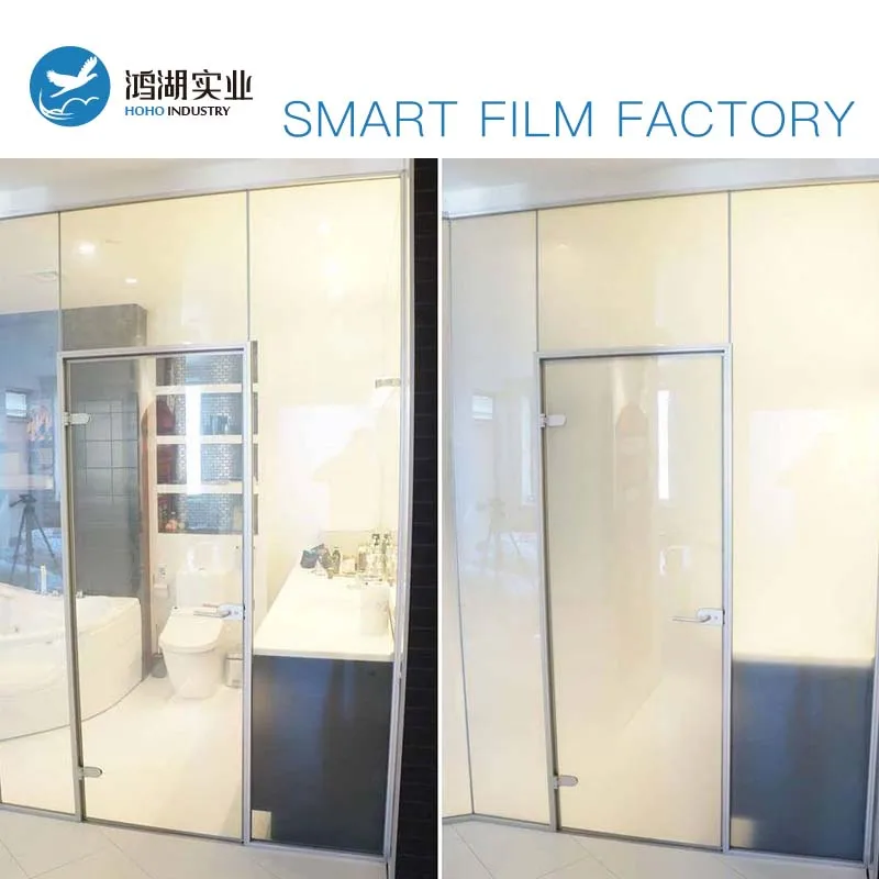 210mm x 297mm SAMPLE A-4 size TRANSPARENT HOLOGRAPHIC REAR PROJECTION FILM US