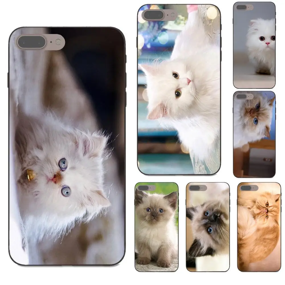 

Himalayan Cat Kitten TPU Pattern For Apple iPhone 4 4S 5 5S SE 6 6S 7 8 Plus X XS Max XR