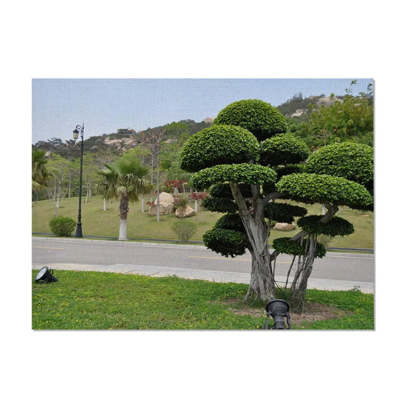 

Green Trees Pattern Rectangle Placemat Home Decorative Table Coaster Kitchen Table Mats Table Napkin Tea Party Decorations New