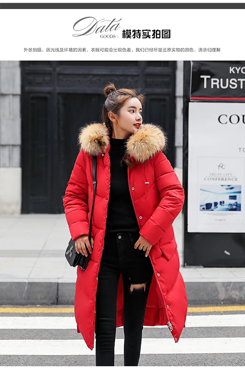Winter Jacket Women Medium And Long Section Big Fur Collar Cotton Clothing Winter Jacket Women Coats Women Parka 2018 CH778 (19)