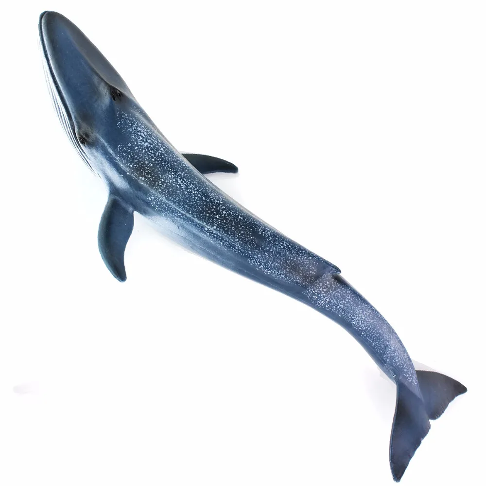 Bubles Wall Sea Life Marine Animals Blue Whale High Quality Action Figure Toy Ocean Animal Model For Kid Gift Bubles Wall Sea Life Marine Animals Blue Whale High Quality Action Figure Toy Ocean Animal Model For Kid Gift