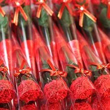 Горячая Гвоздика формованное мыло декоративное мыло цветок гвоздики лепестки мыло для ванны эфирное масло Гвоздика мыло подарок на день Святого Валентина