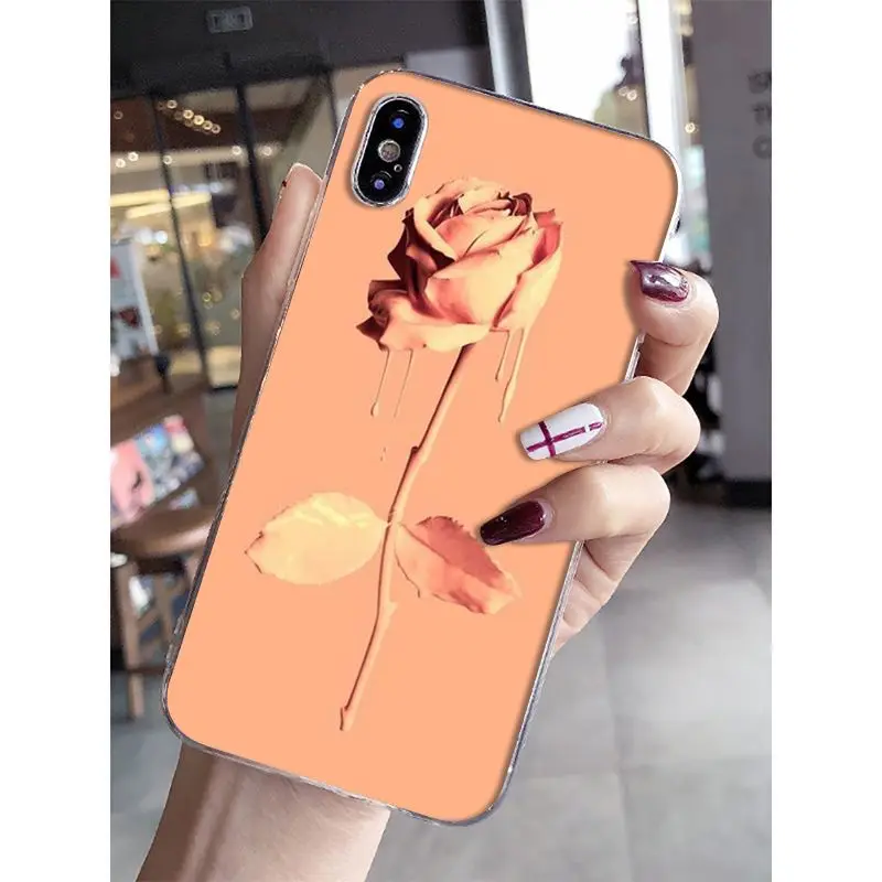 Newest special stylish and beautiful rose