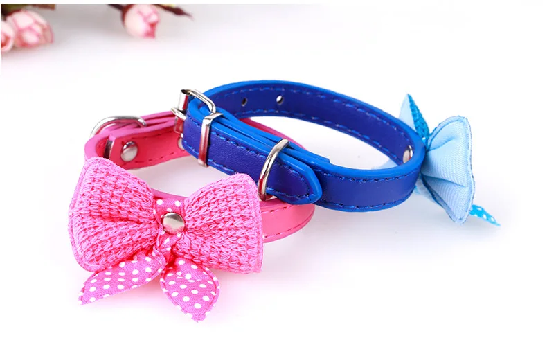 3152804290_906868034