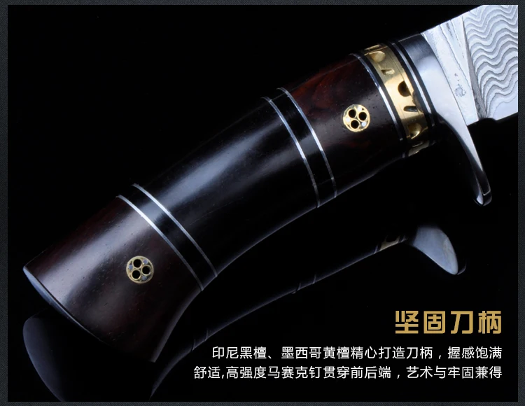 TB21i7YXJRopuFjSZFtXXcanpXa_!!504445211