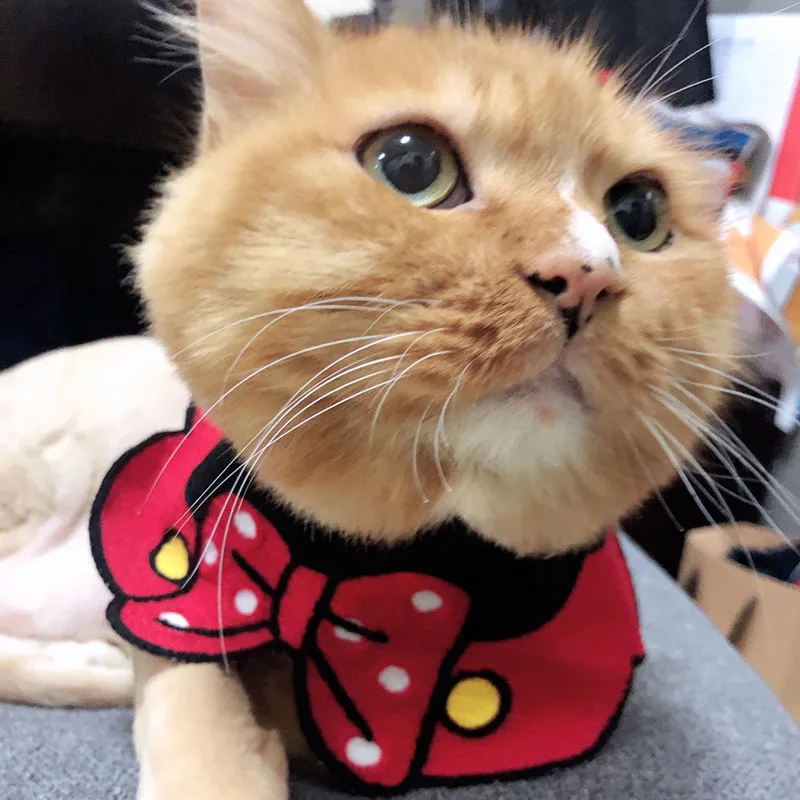 Cat and Dog Bandana Bibs Scarf Collar Adjustable Cute Pet Cat Scarf Neckerchief Waterproof Saliva Towel for Cats Dogs Puppy Pets