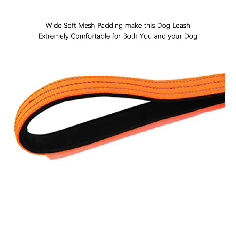 ANNIPET Reflective and Padded Nylon Pet Puppy Dog Leash&Car Seat Belt for Small Medium Large Dog with Bungee Walking Training ANNIPET Reflective and Padded Nylon Pet Puppy Dog Leash&Car Seat Belt for Small Medium Large Dog with Bungee Walking Training