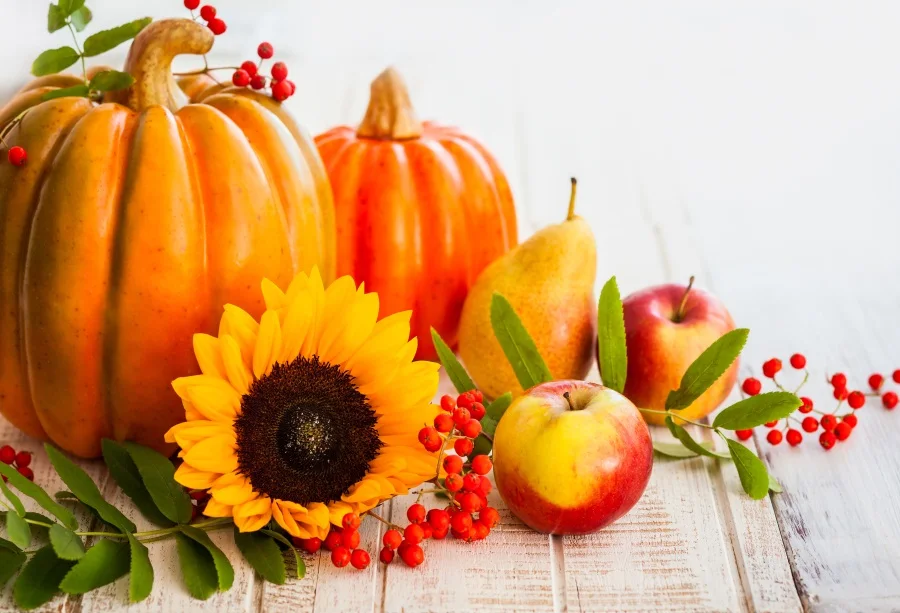 Laeacco Autumn Harvest Wooden Board Pumpkin Sunflower Photography Backgrounds Customized Photographic Backdrops For Photo Studio |