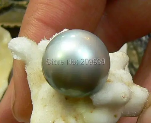 

huij 00276 PERFECT NATURAL 13.6MM AUSTRALIAN SOUTH SEA GENUINE GREY SILVER LOOSE PEARL UNDRIL