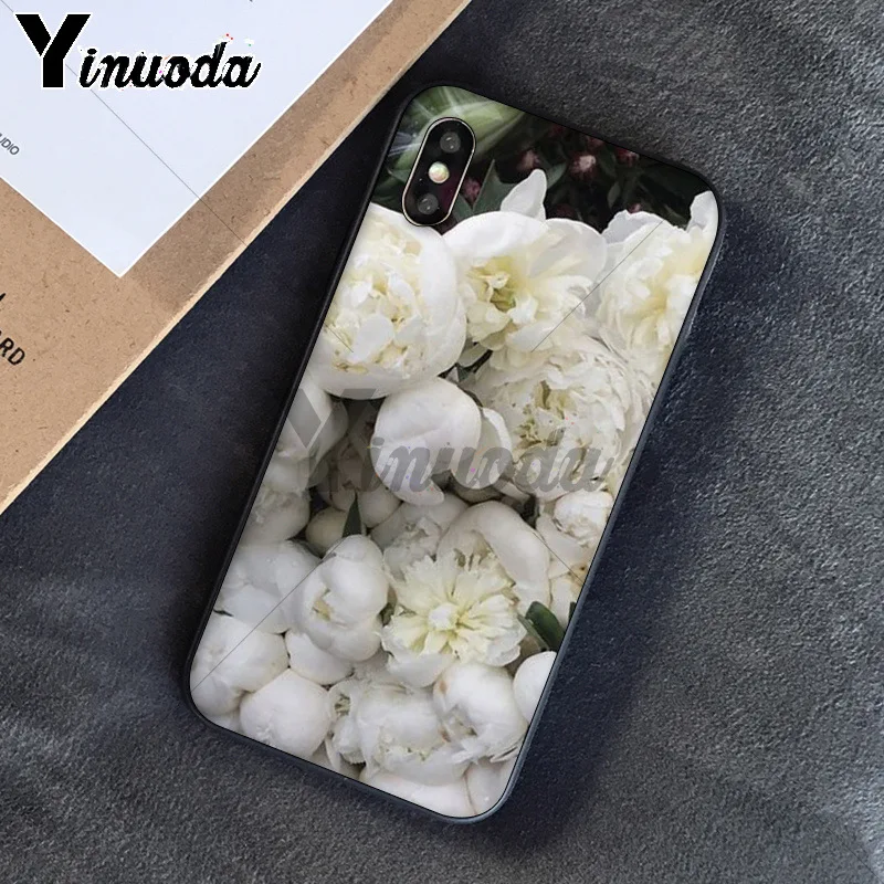 Sweet peony White flowers