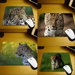 Mairuige для Catamount Животные Любители леопарда Jaguar коврик для украшения Настольный ПК компьютер настольный коврик малый Размеры резиновый