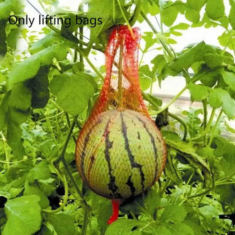 

100pcs Watemelon Protection Bag Grow Apple Watermelons Hanging Net Bag Vegetable Fruit Protect Support Net