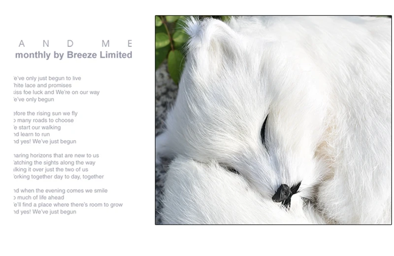 high simulation fox White fox Toy fairy Sleeping fox cute animal for girl girlfriends creative gift desktop car Decoration 27x27x12 DY80042 (5)