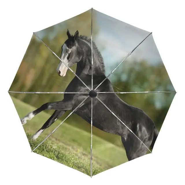 White Horse Running Portable Folding Rain and Sun Beach Umbrellas Hat
