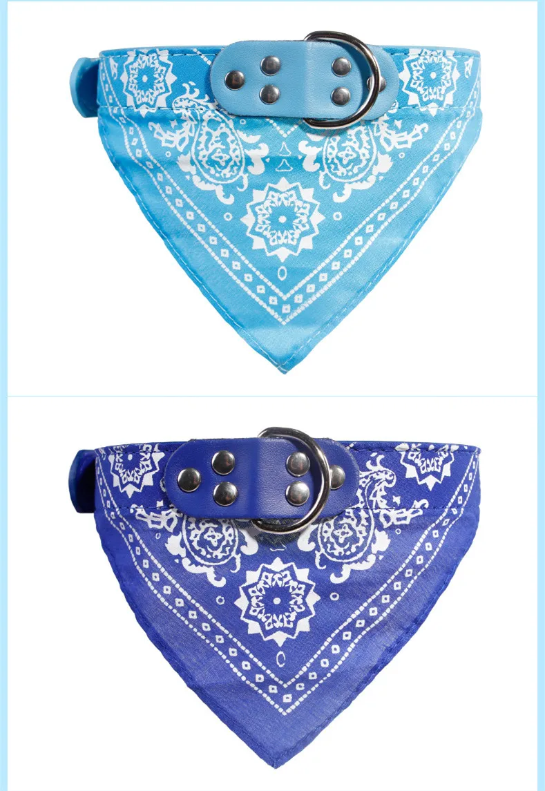 3627391164_906868034