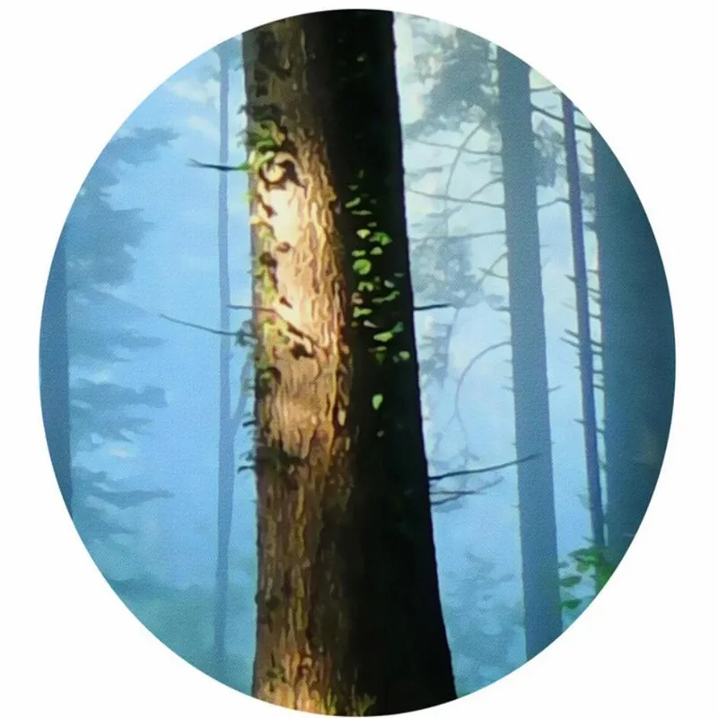 Custom 3d wallpaper forest landscape background wall - large high-grade wall cloth manufacturers wholesale Custom 3d wallpaper forest landscape background wall - large high-grade wall cloth manufacturers wholesale