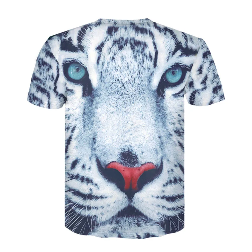 D-198-凯诚T恤短袖模板-后