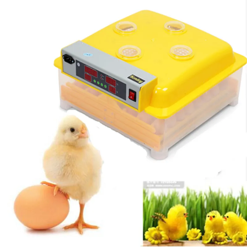 

Mini home use intelligent digital clear Incubation farm industrial hatching incubator prices for sale