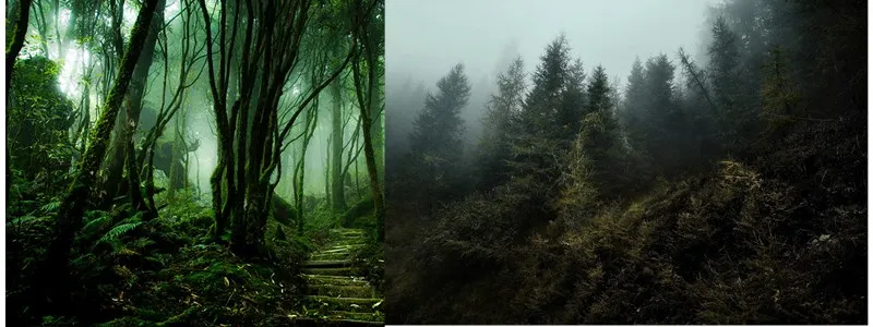 Hunting trail camera gsm mms (4)