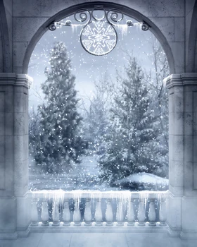 

HUAYI Castle Door Christmas balls Photography Art Fabric Photo Backdrop XT4062