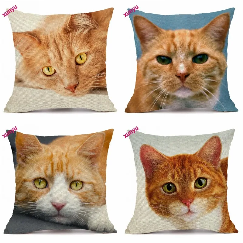 dsadadgh_c5434324onew1