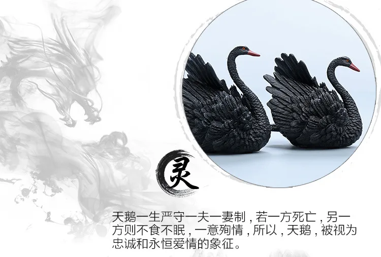 爱情天鹅_05