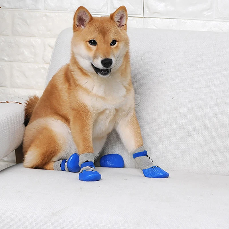 dog booties for yorkies