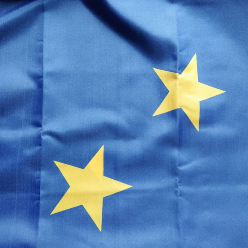 Choice of Sizes European Union EU Polyester Flag