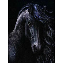 Negro, caballo, bordado de diamantes, Animal, completo, pintura de diamantes, punto de cruz, 5D, Diamante de imitación redondo, mosaico, Decoración, regalo YY(China)