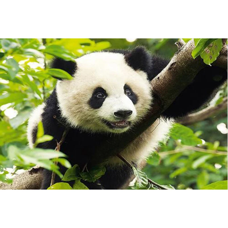 QQ20190313090149