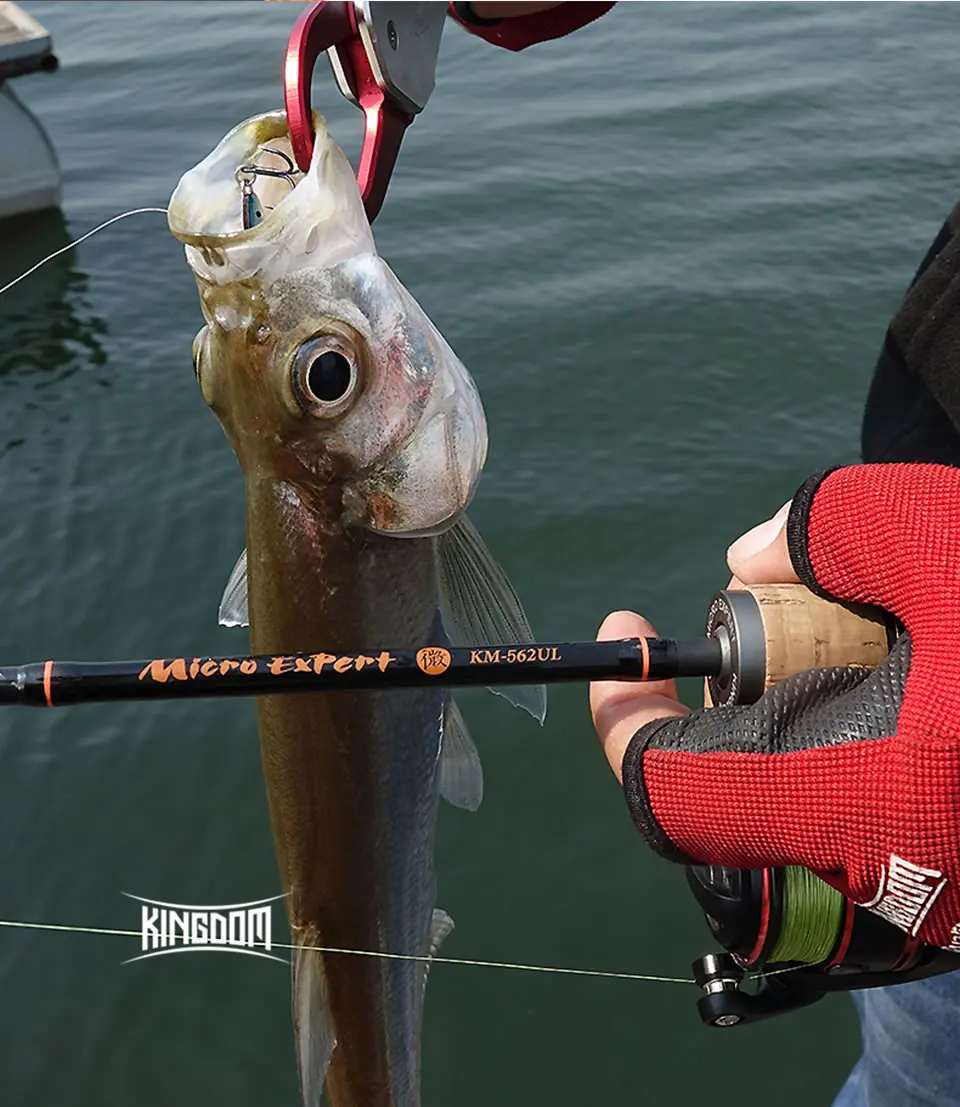 Kingdom MICRO EXPERT Ultralight Spinning Fishing Rods Carbon 1.89m Casting Travel Rod With Solid Tip and FUJI Guides Feeder Rods (15)