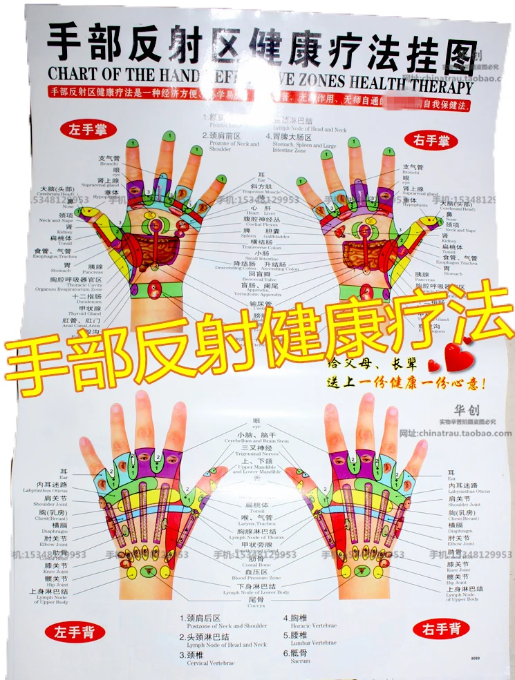 6pcs/set medical Meridian acupuncture wall charts human body meridian points diagrams hand-foot wall charts Scrapping flipchart 6pcs/set medical Meridian acupuncture wall charts human body meridian points diagrams hand-foot wall charts Scrapping flipchart