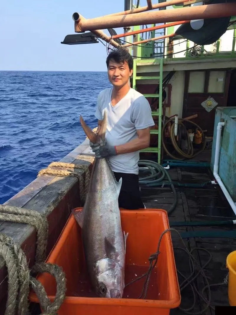 fishing rod
