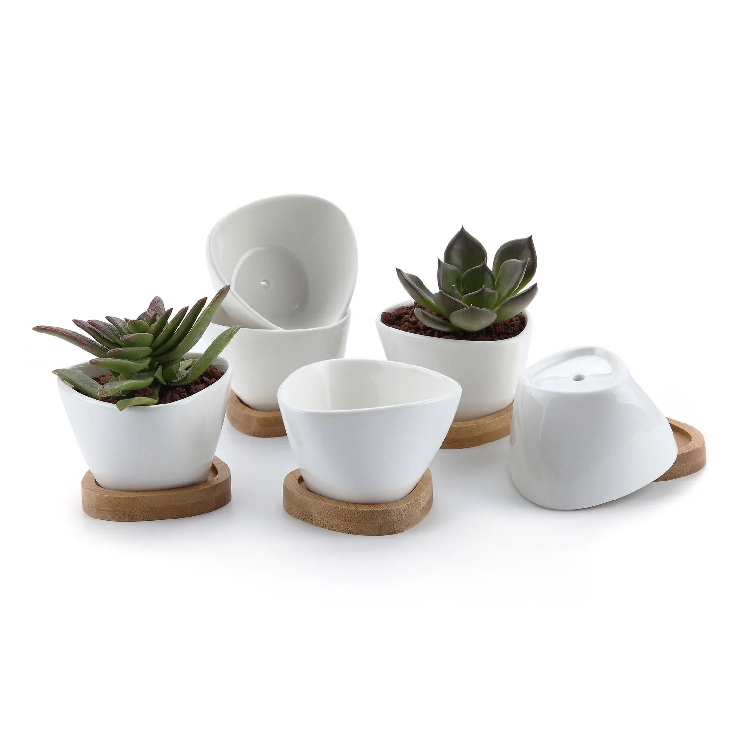 

T4U 3 Inch Ceramic White Misalignment Traiangle Design succulent Cactus Plant Pot with FREE Bamboo Tray Package 1 Pack of 6