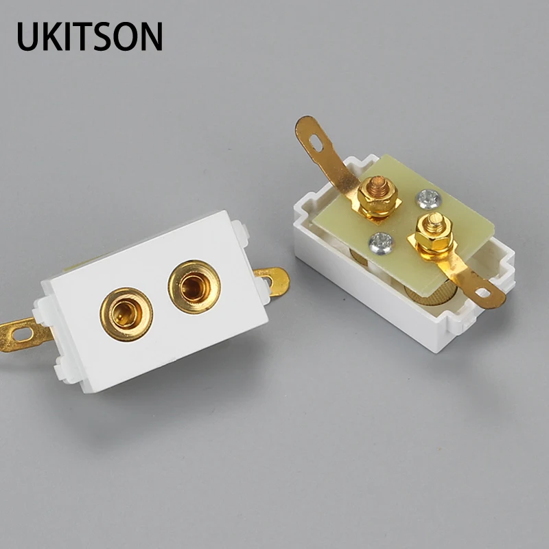 Blunt Speaker Plug slot pic 1