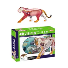 4D maestro médico Tigre anatomía modelo cráneo maqueta anatómica de esqueleto dientes con esqueleto humano anatomia