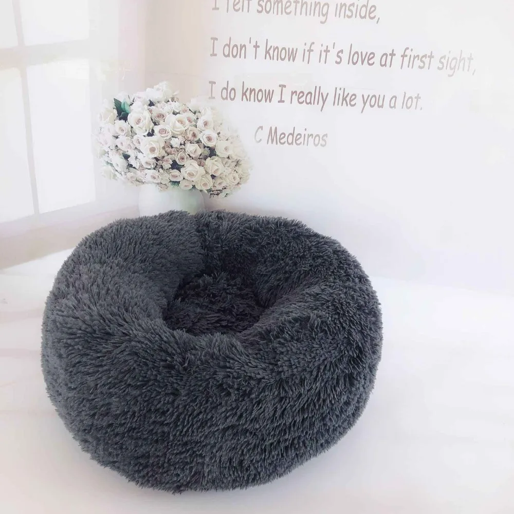pet house cat