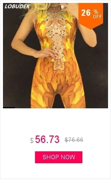 dianxiaobao