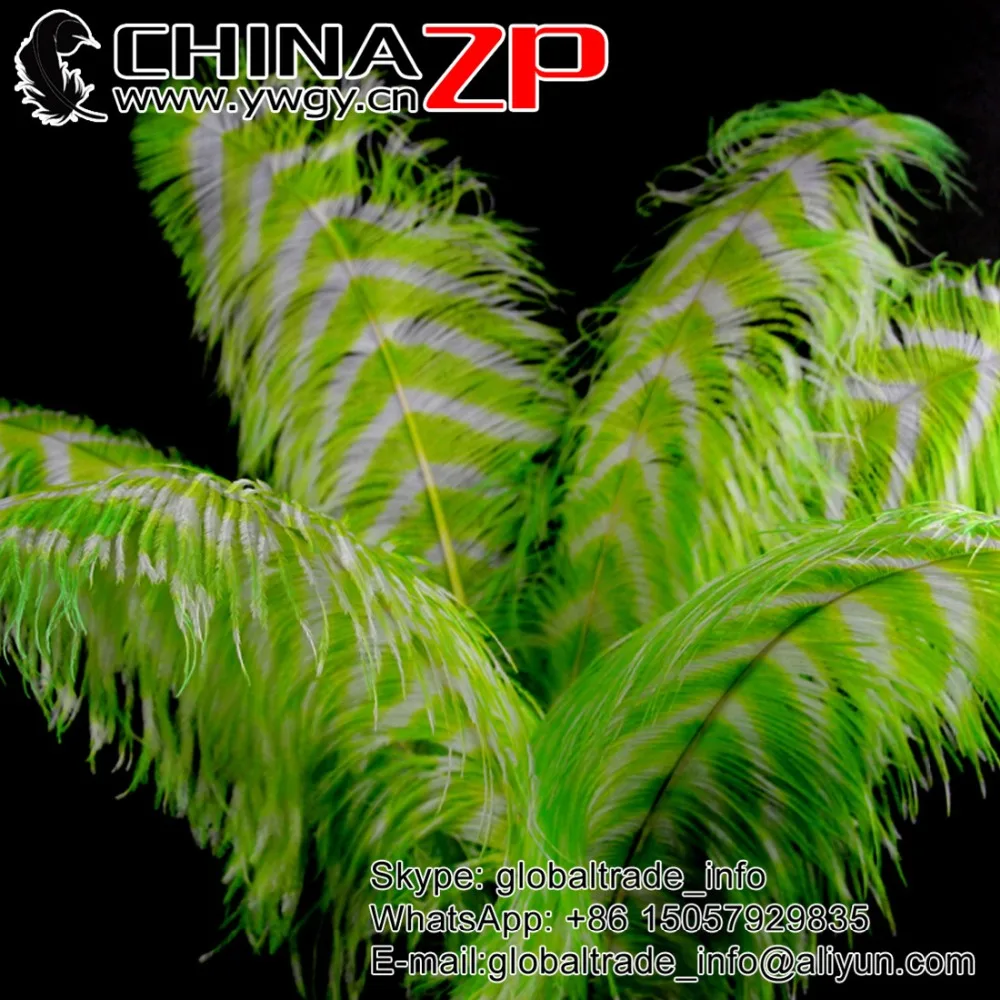 

CHINAZP Factory Size 70-75cm (28"-30") 50pcs/lot Good Quality Dyed Lime Green and White Striped Large Ostrich Feather