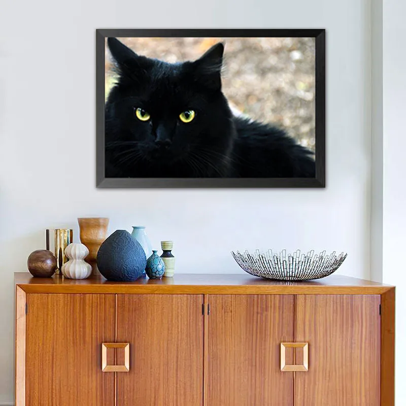 Diy-Black-Cat-Diamond-Painting-Embroidery-Animal-Diamond-Resin-Painting-Round-Drill-Picture-Decor
