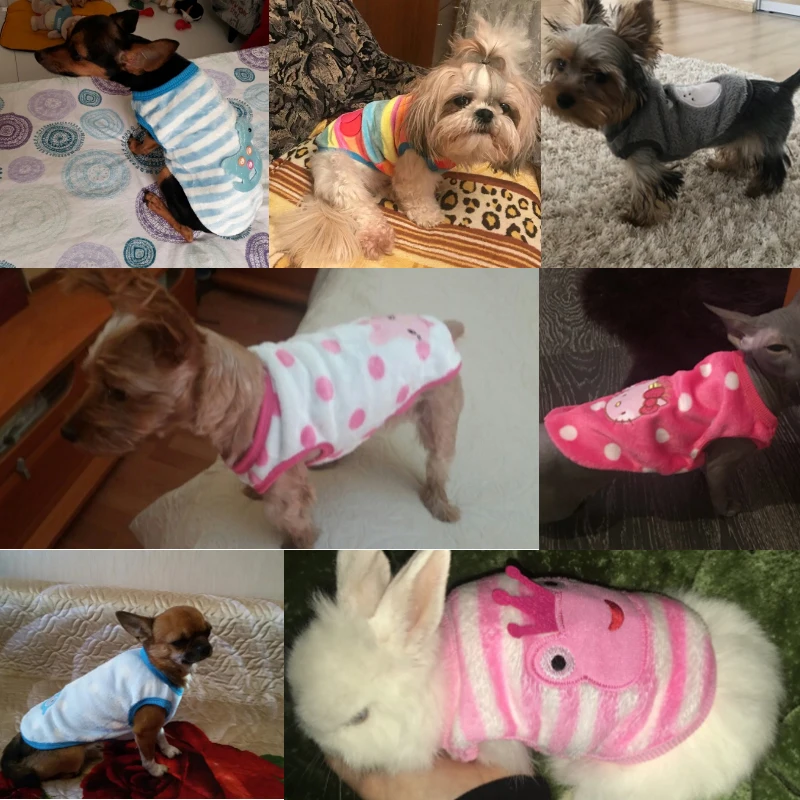 2018 New Autumn/Winter Cartoon Dog Clothes for Small Dogs Chihuahua Yorkie Clothing Pet Puppy Cat Coats Jacket Warm Soft Fleece 2018 New Autumn/Winter Cartoon Dog Clothes for Small Dogs Chihuahua Yorkie Clothing Pet Puppy Cat Coats Jacket Warm Soft Fleece