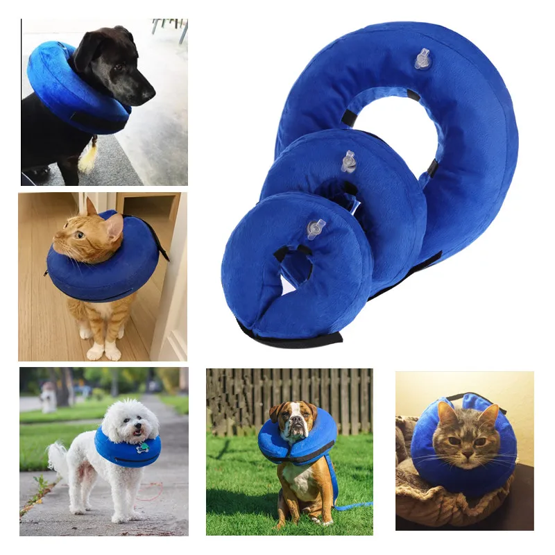 dog collars golden retriever	 Inflatable Pet Collar Anti-bite Neck Elizabethan Collar Cute Cat Dog Puppy Neck Protective E Cone Collar For Small Large Dogs patpet dog training collar