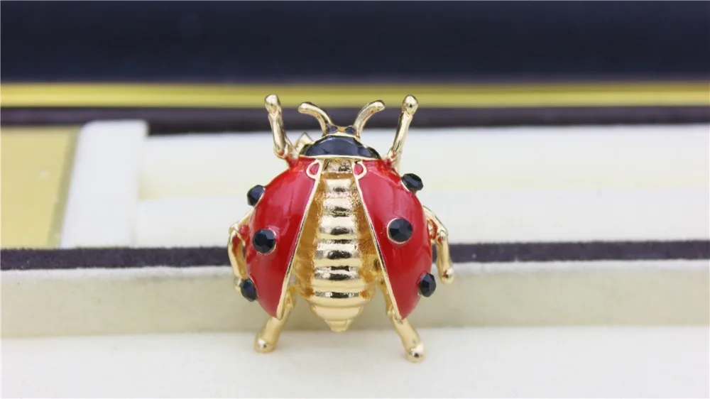 IMG_2433