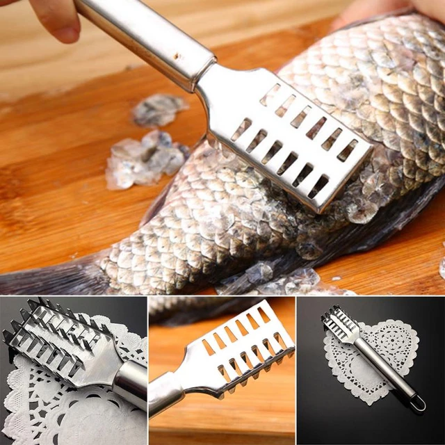 1Pc Home Stainless Steel Fish Scale Scaler Scraper Remover Seafood Descaler  Kitchen Gadgets Tools - AliExpress