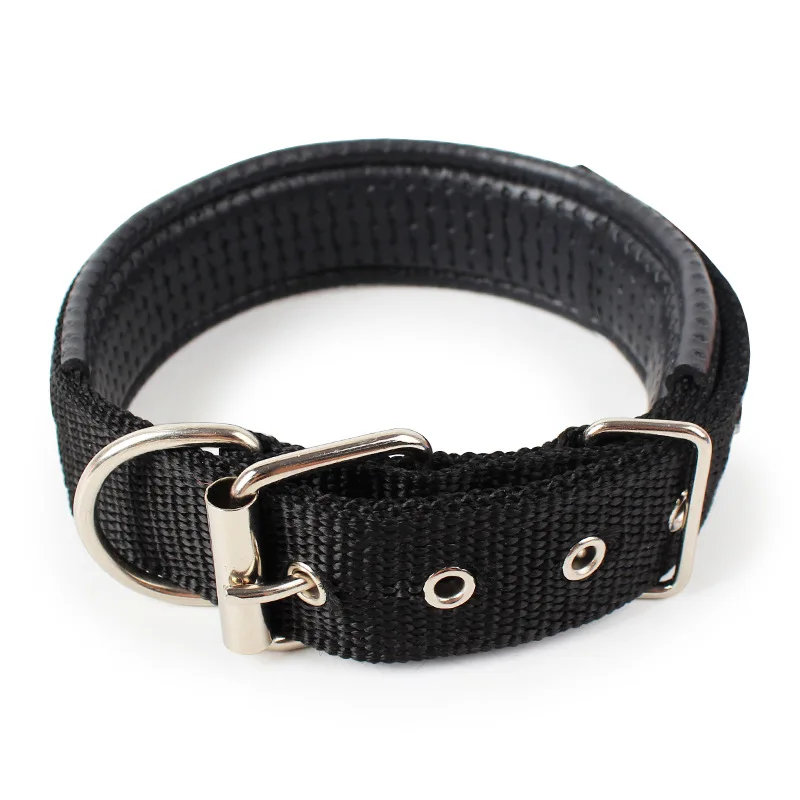 Nylon Medium Dog Collar (15)