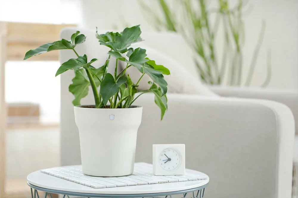  Xiaomi Original Mi Flora Smart Flower Pot International version Plant Grass Monitor Bluetooth RC So